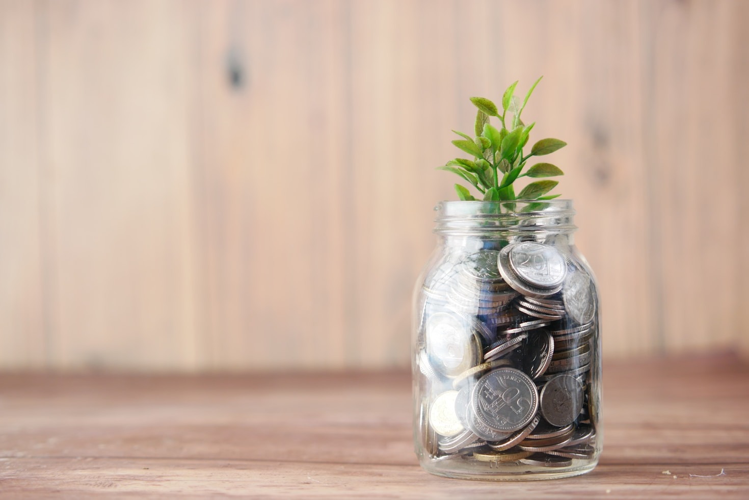 Opportunità di investimento reale e sicuro